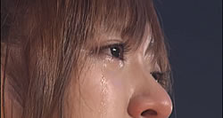 Konkon's tears Konkon's tears